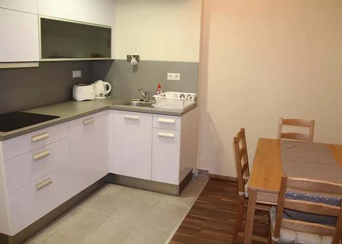 Apartament Wellness